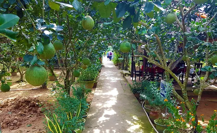 tour du lịch Bến Tre