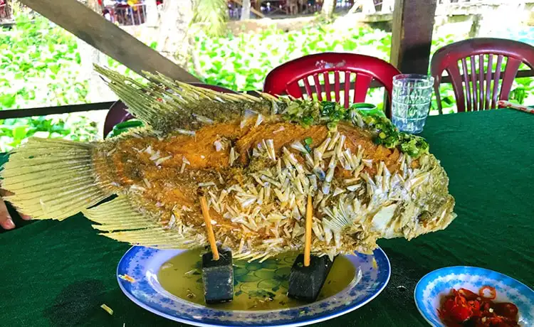 tour du lịch Bến Tre