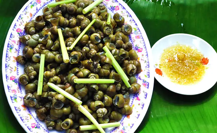 tour du lịch Bến Tre