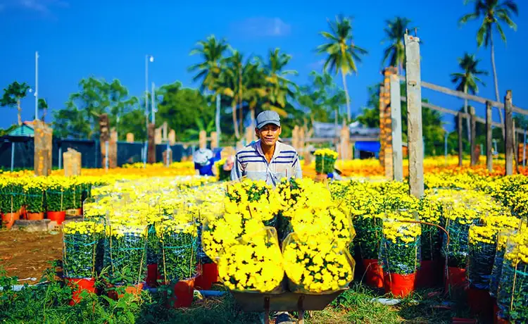 tour du lịch Bến Tre