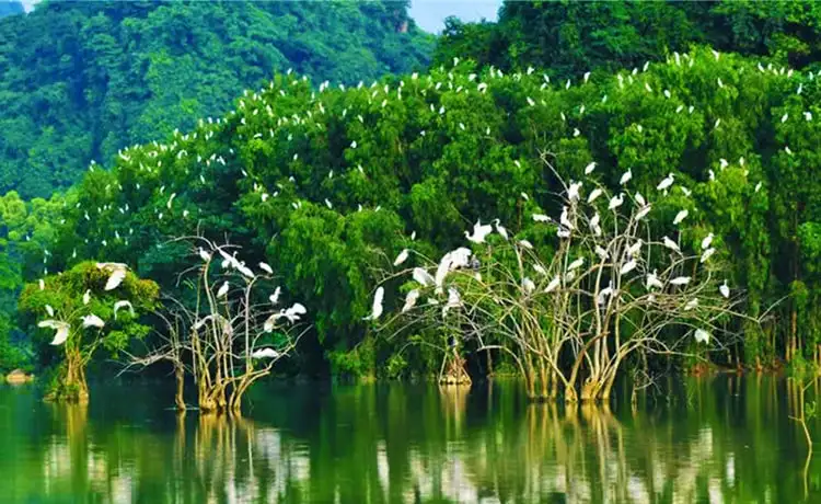 tour du lịch Bến Tre