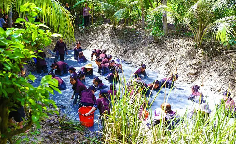 tour du lịch Bến Tre