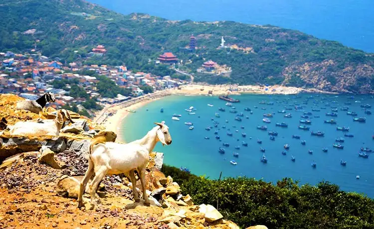 tour du lịch bình Ba