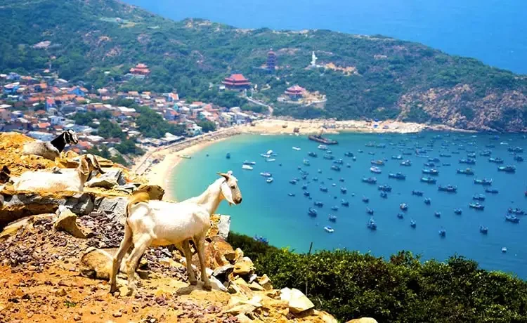 Tour du lich Bình Ba 2 ngày 1 đêm - Tứ Bình