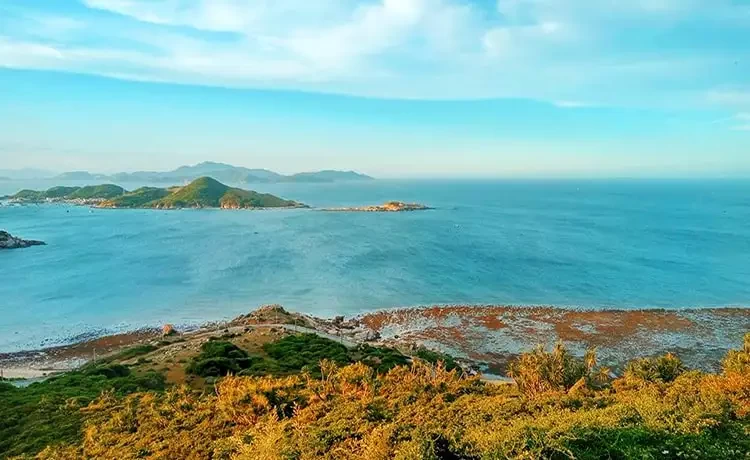 Tour du lịch Bình Hưng trong ngày
