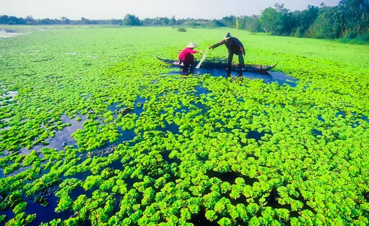 du lịch Cà Mau
