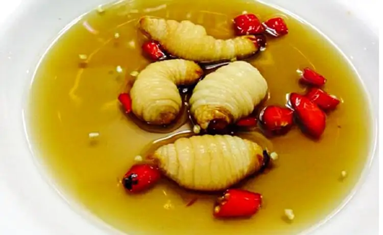 tour du lịch Cà Mau