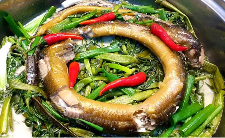 tour du lịch Cà Mau