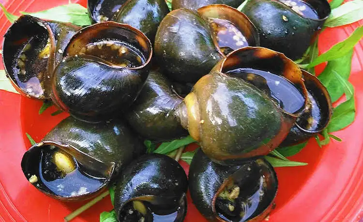 tour du lịch Cần Thơ