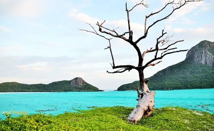 Tour du lịch Cần Thơ - Côn Đảo 2 ngày 1 bằng máy bay
