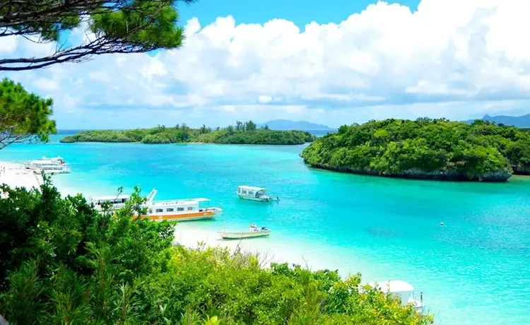 Tour du lịch Cần Thơ - Côn Đảo 2 ngày 1 bằng máy bay
