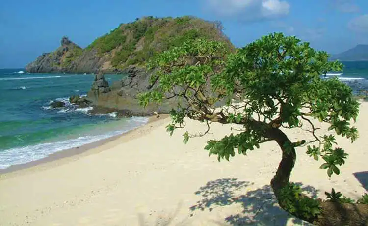 tour du lịch Côn Đảo