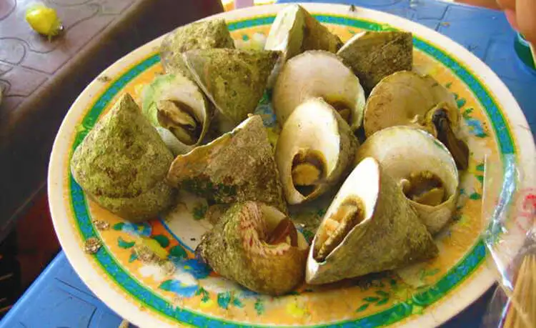 tour du lịch Côn Đảo