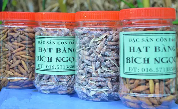 tour du lịch Côn Đảo
