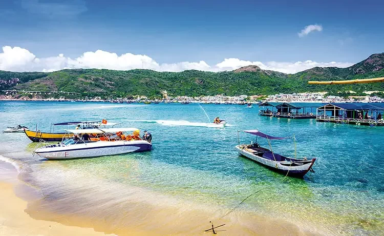 Tour Cù Lao Chàm trong ngày câu cá lặn ngắm san hô