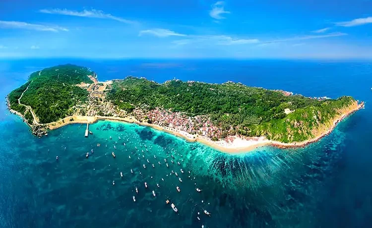 Tour Cù Lao Chàm trong ngày câu cá lặn ngắm san hô