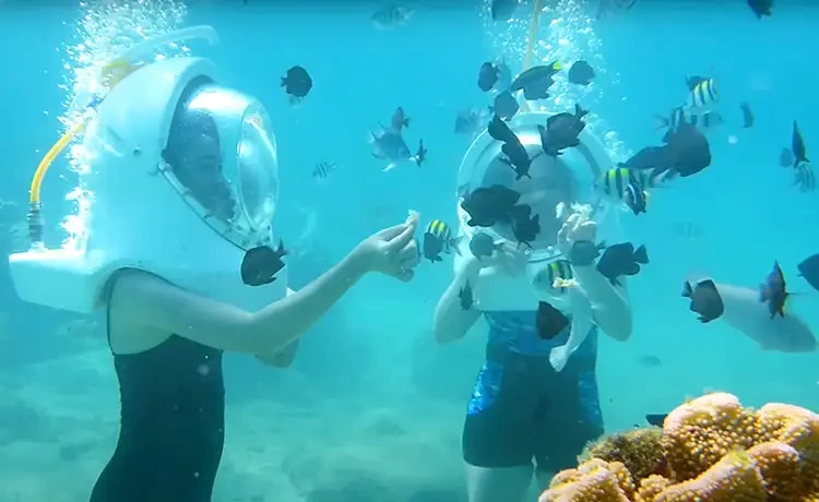 Tour Cù Lao Chàm trong ngày đi bộ dưới biển Seatrek