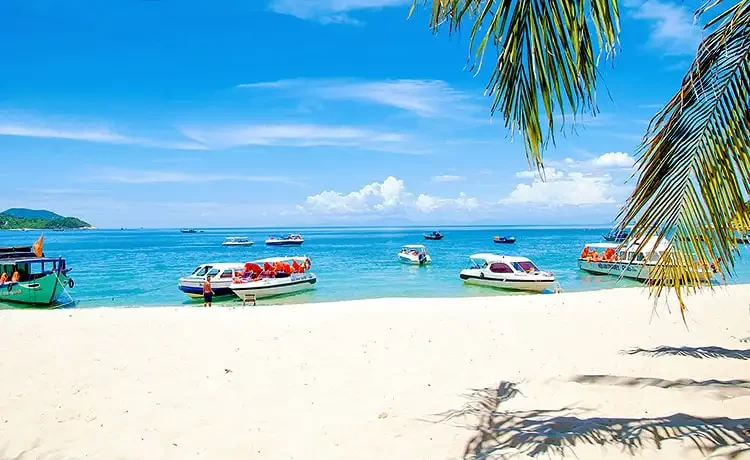 Tour Cù Lao Chàm trong ngày đi bộ dưới biển Seatrek