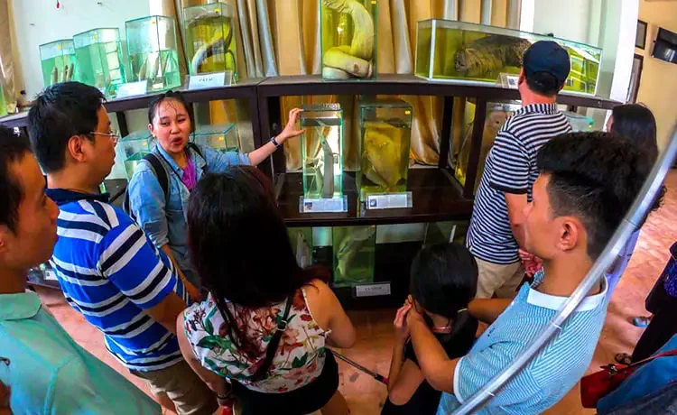 Tour Cù Lao Chàm trong ngày đi bộ dưới biển Seatrek
