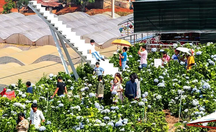 Tour du lịch Đà Lạt 4 ngày 3 đêm