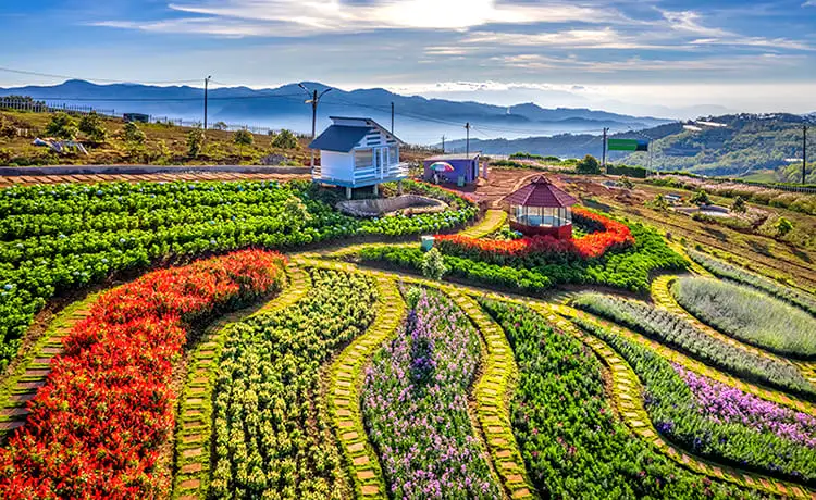 du lịch đà lạt