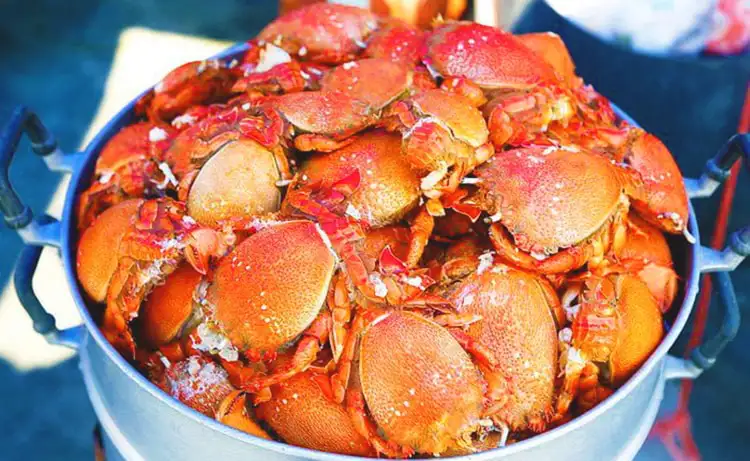 tour du lịch đảo Phú Quý