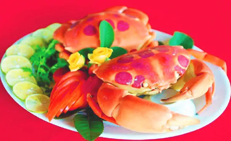 tour du lịch đảo Phú Quý