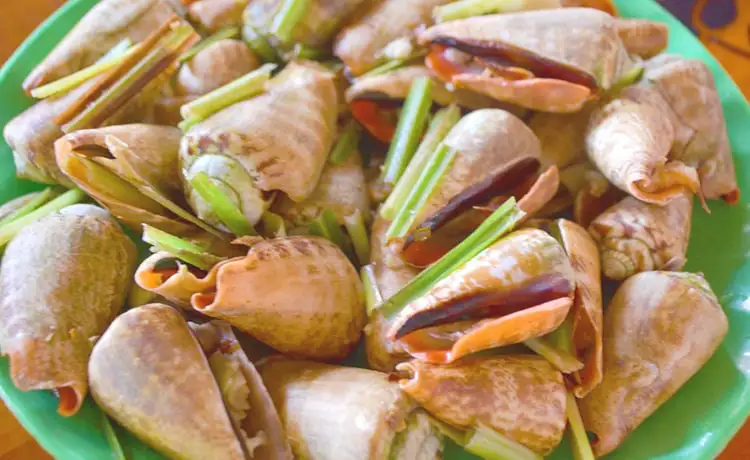 tour du lịch đảo Phú Quý