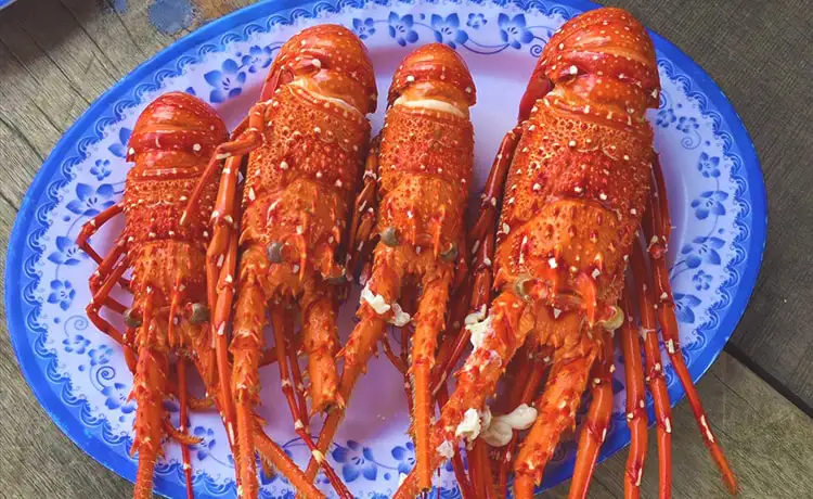 tour du lịch đảo Phú Quý