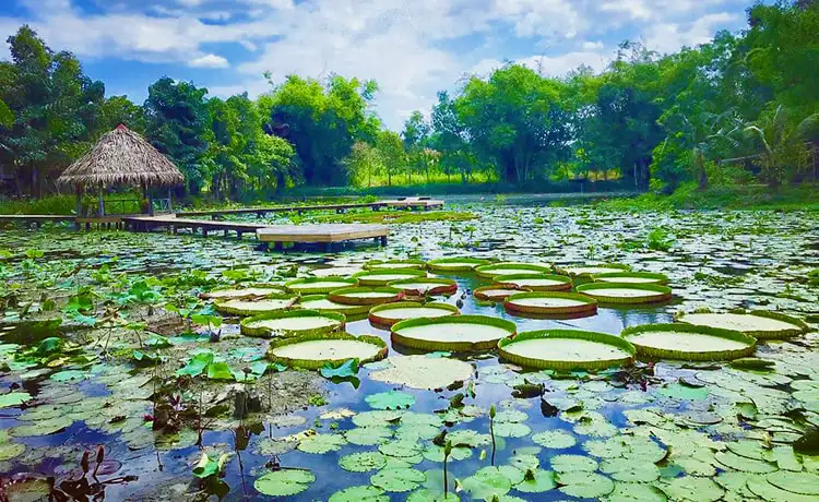 du lịch Đồng Tháp