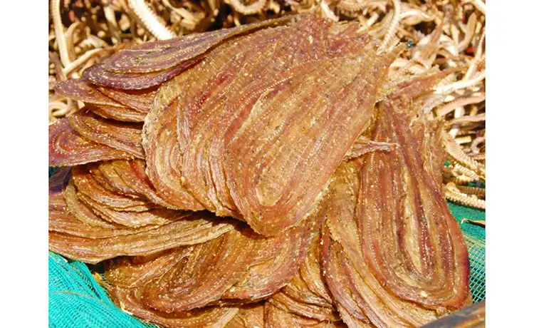 tour du lịch Đồng Tháp