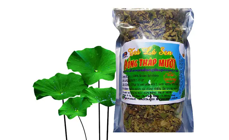 tour du lịch Đồng Tháp