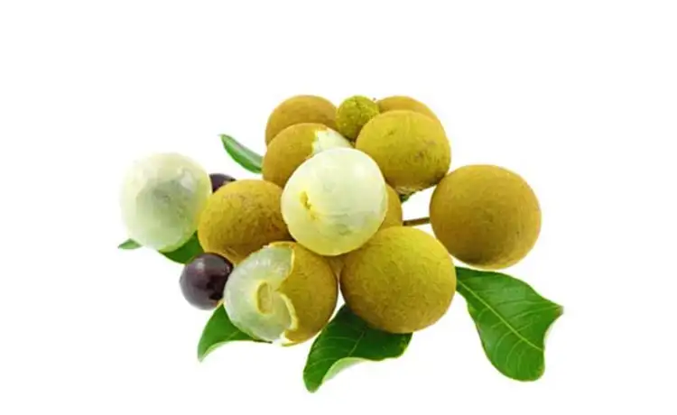 tour du lịch Đồng Tháp
