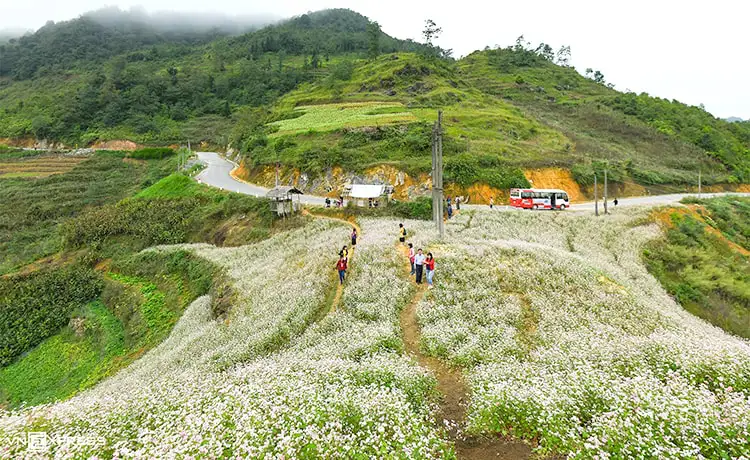 ảnh đẹp du lịch hà giang