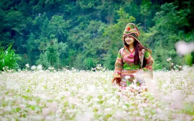 Tour du lịch Hà Giang 2 ngày 1 đêm