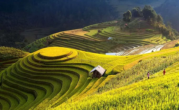 Tour du lịch Hà Giang 2 ngày 1 đêm