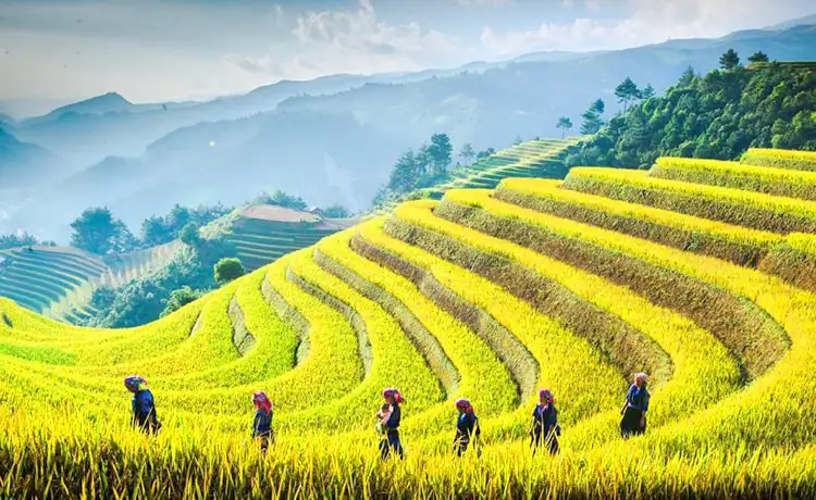 tour hà giang cao bằng 6 ngày 5 đêm