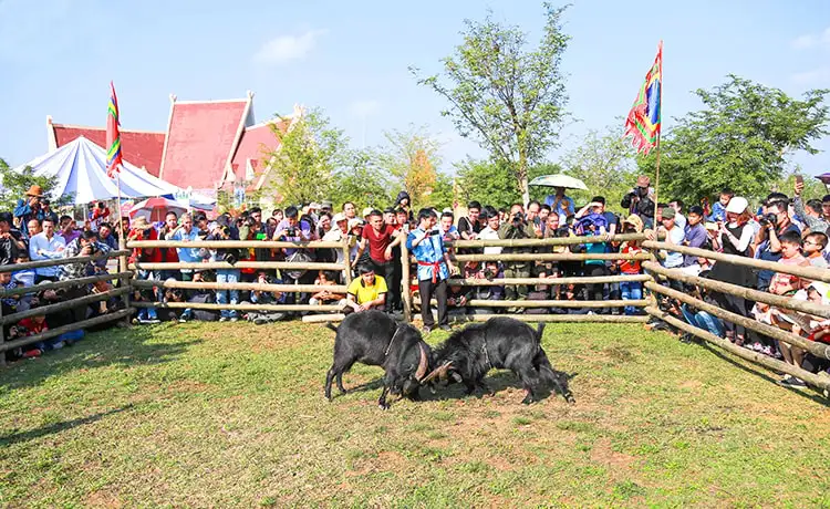 du lịch hà giang