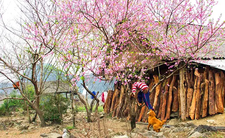 ảnh đẹp du lịch hà giang