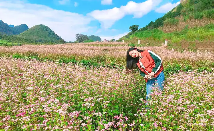 ảnh đẹp du lịch hà giang