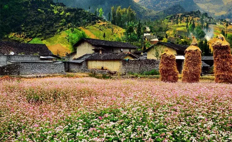 Tour du lịch Hà Giang 4 ngày 3 đêm