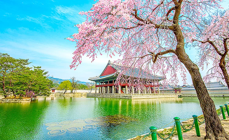 Tour du lịch Hàn Quốc 5 ngày 4 đêm