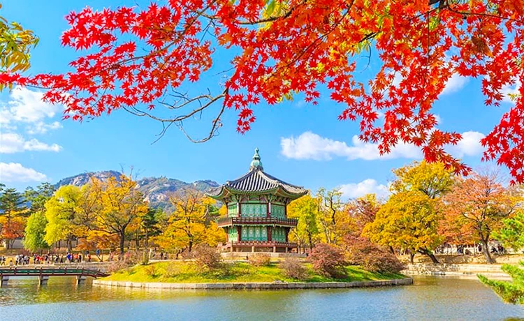 Tour du lịch Hàn Quốc 6 ngày 5 đêm