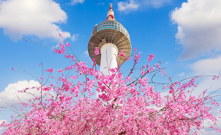 Tour du lịch Hàn Quốc 6 ngày 5 đêm