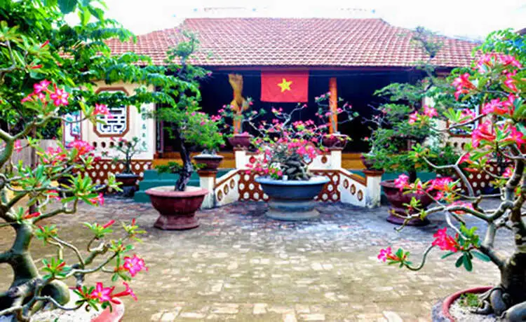 tour du lịch Lý Sơn