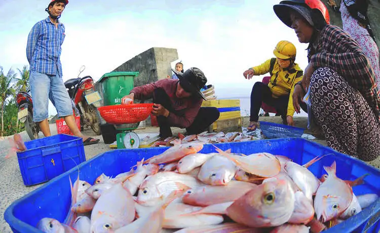tour du lịch Lý Sơn