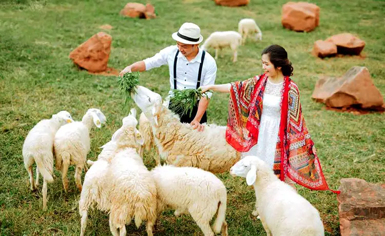 tour mai châu mộc châu 3 ngày 2 đêm