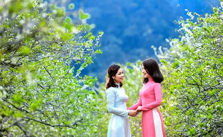 Tour du lịch Mai Châu - Mộc Châu 2 ngày 1 đêm