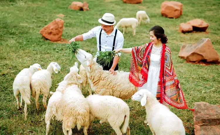 Tour du lịch Mai Châu - Mộc Châu 2 ngày 1 đêm
