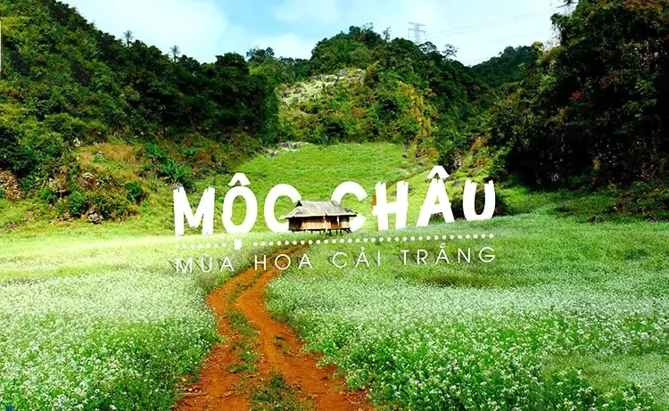 Tour du lịch Mai Châu - Mộc Châu 2 ngày 1 đêm